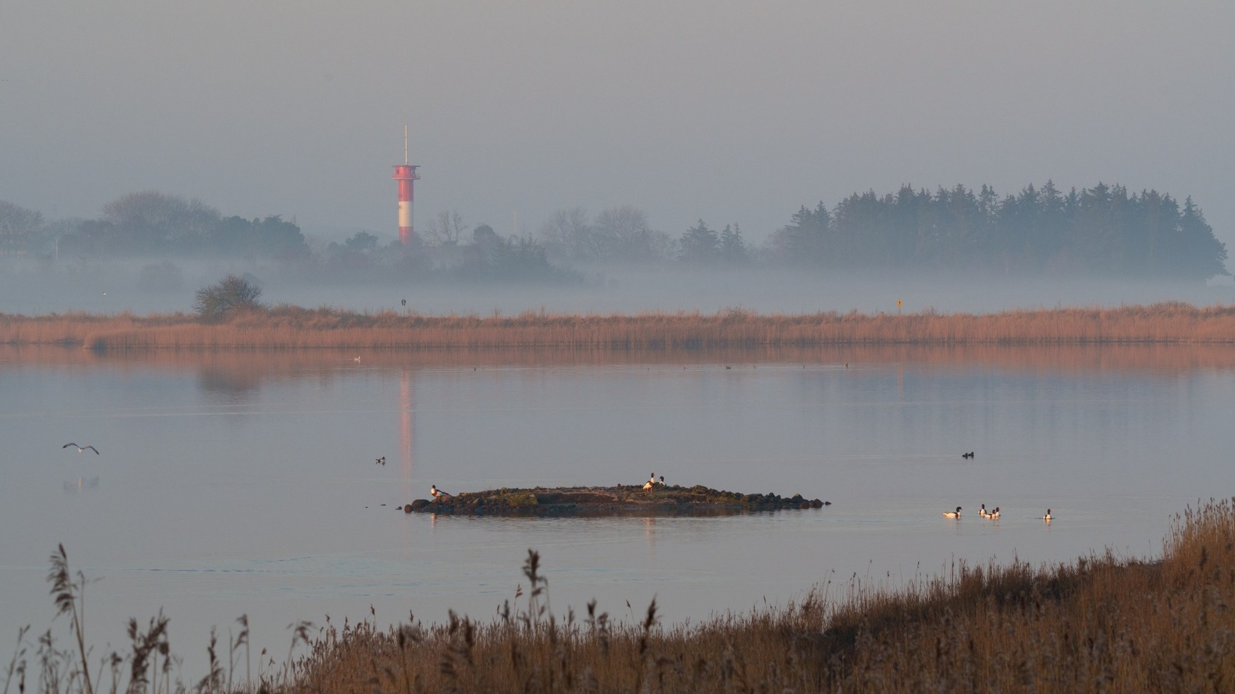 Das Leuchtfeuer im Nebel