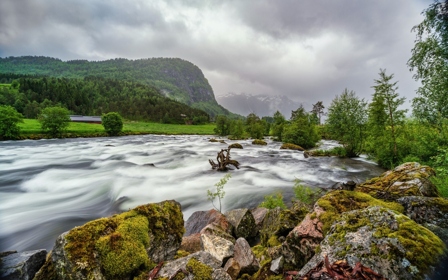 Im Fluss